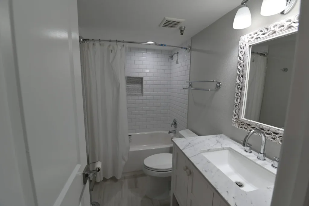 Bathroom renovation Pinellas