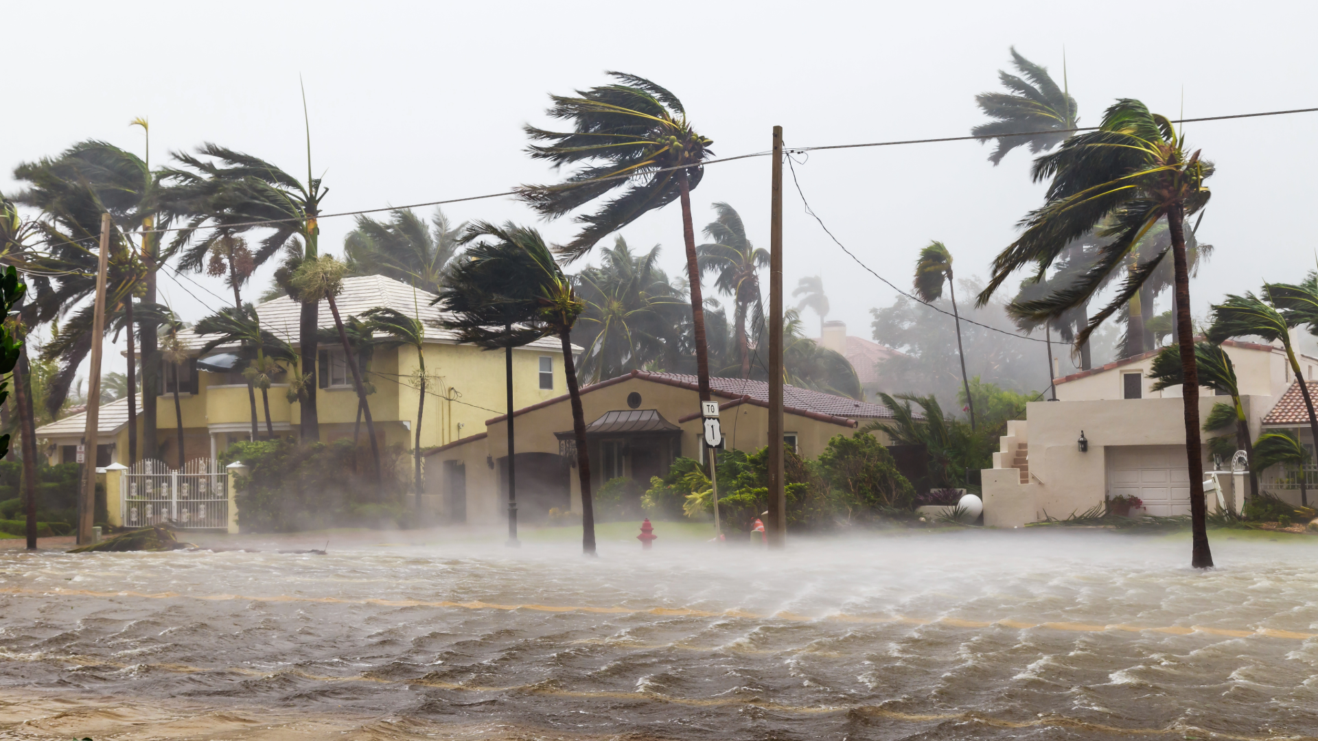 Hurricane-proof home upgrades